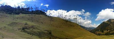 Salento (Colombia) - En el eje cafetero y el Valle de Cocora