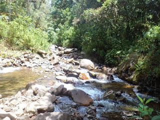 Salento (Colombia) - En el eje cafetero y el Valle de Cocora