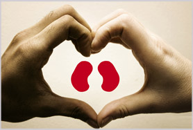 Prevenir la enfermedad renal