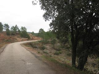 ¿Cual es tu propósito ?