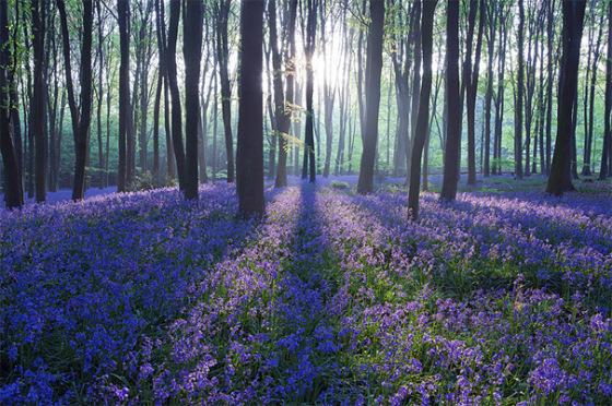 landscape-photography-16