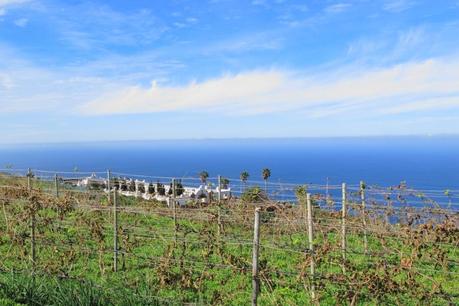 Finca La Gloria en la Punta de Garafía