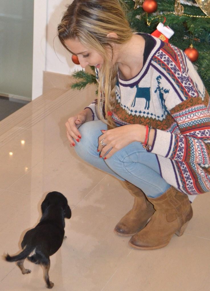 Dallas y la Feliz Navidad :)