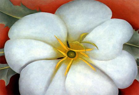 La flor del desierto, Georgia O'Keeffe (1887-1986)