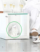 Curiosidades: Kim Kardashian y su familia felicitan la Navidad