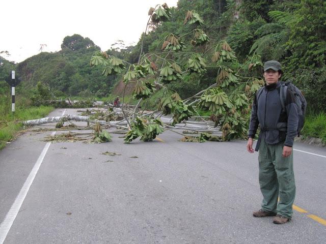 Atrapados en la jungla: a pie por la selva peruana (4ta parte y final)