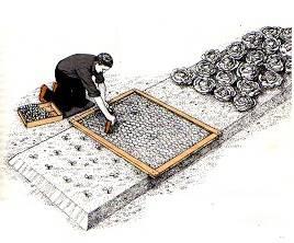 hortelano-sembrando-en-bancal-profundo-terminado