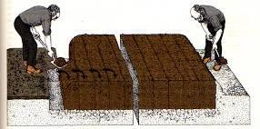 tapamos-zanjas-bancal-profundo