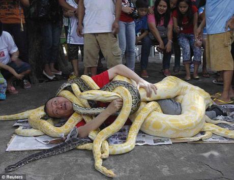 Así recibe la llegada del año chino de la serpiente este Chino