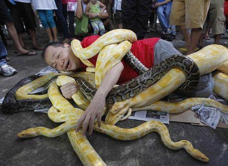 Así recibe la llegada del año chino de la serpiente este Chino