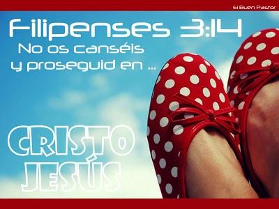 Para conocer a Cristo personalmente