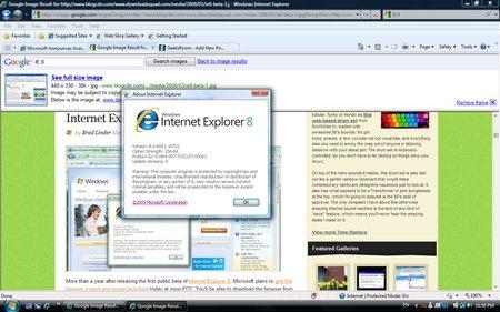 Microsoft Internet Explorer 8.0