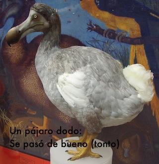 Dodo_1 Wikipedia *ESPECIAL* Bienvenido, 2013. Que te den, 2012