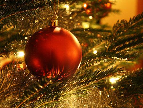 Pequelia os desea Feliz Nochevieja