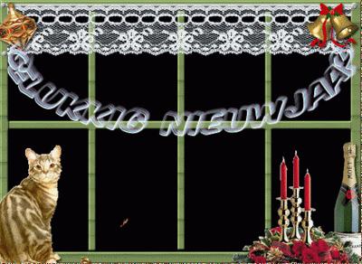 Propósitos de año nuevo y una postal la mar de holandesa