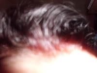 Olia de Garnier, opinion