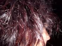 Olia de Garnier, opinion