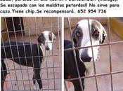 Perdida Málaga
