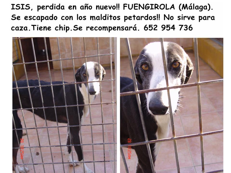 Perdida en Málaga
