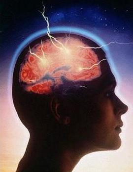 neuroteobiologia(298765)