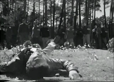 Criminales on the rocks