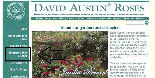pestaña-página-web-david-austin-para-solicitar-catálogo