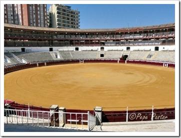 “La afición insultada”. Por Agustín Hervás