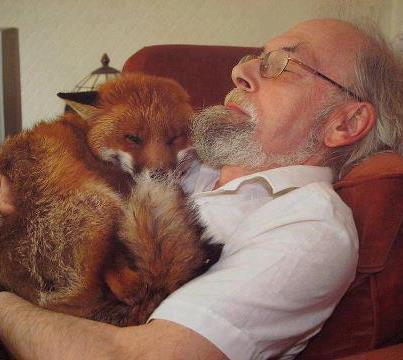 Foto: Crooper fue recogido en la calle tras una pelea con perros  Herido y enfermo (toxoplasmosis), Cropper fue atendido y mejoro su salud por este hombre  A pesar de recuperarse no estaba lo suficientemente fuete como para sobrevivir en plena naturaleza.... así que Crooper comparte los dias junto a su rescatador