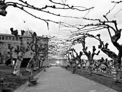 Mi 2012: 12 meses, 12 fotos / #postaday : : Weekly Photo Challenge: My 2012 in Pictures | The Daily Post