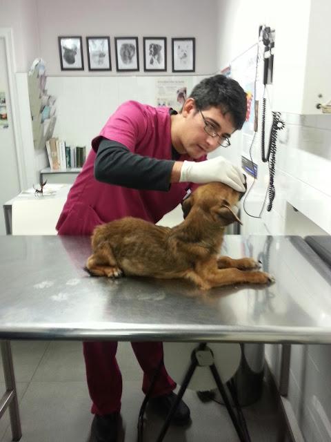 ¿ PEPO QUE TE A PASADO ? ... NECESITAMOS AYUDA!!