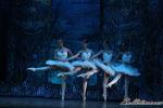 ‘El lago de los Cisnes’. Pase gráfico del Ballet Imperial Ruso.