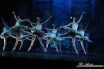 ‘El lago de los Cisnes’. Pase gráfico del Ballet Imperial Ruso.