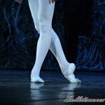 ‘El lago de los Cisnes’. Pase gráfico del Ballet Imperial Ruso.