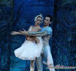 ‘El lago de los Cisnes’. Pase gráfico del Ballet Imperial Ruso.