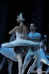 ‘El lago de los Cisnes’. Pase gráfico del Ballet Imperial Ruso.