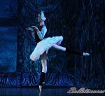 ‘El lago de los Cisnes’. Pase gráfico del Ballet Imperial Ruso.