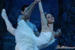 ‘El lago de los Cisnes’. Pase gráfico del Ballet Imperial Ruso.
