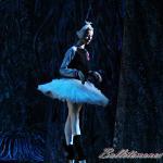 ‘El lago de los Cisnes’. Pase gráfico del Ballet Imperial Ruso.