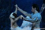 ‘El lago de los Cisnes’. Pase gráfico del Ballet Imperial Ruso.
