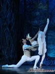 ‘El lago de los Cisnes’. Pase gráfico del Ballet Imperial Ruso.