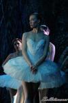 ‘El lago de los Cisnes’. Pase gráfico del Ballet Imperial Ruso.