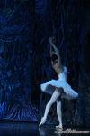 ‘El lago de los Cisnes’. Pase gráfico del Ballet Imperial Ruso.