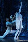 ‘El lago de los Cisnes’. Pase gráfico del Ballet Imperial Ruso.