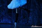 ‘El lago de los Cisnes’. Pase gráfico del Ballet Imperial Ruso.