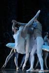 ‘El lago de los Cisnes’. Pase gráfico del Ballet Imperial Ruso.
