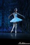 ‘El lago de los Cisnes’. Pase gráfico del Ballet Imperial Ruso.
