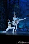 ‘El lago de los Cisnes’. Pase gráfico del Ballet Imperial Ruso.