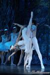 ‘El lago de los Cisnes’. Pase gráfico del Ballet Imperial Ruso.
