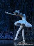 ‘El lago de los Cisnes’. Pase gráfico del Ballet Imperial Ruso.