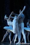 ‘El lago de los Cisnes’. Pase gráfico del Ballet Imperial Ruso.